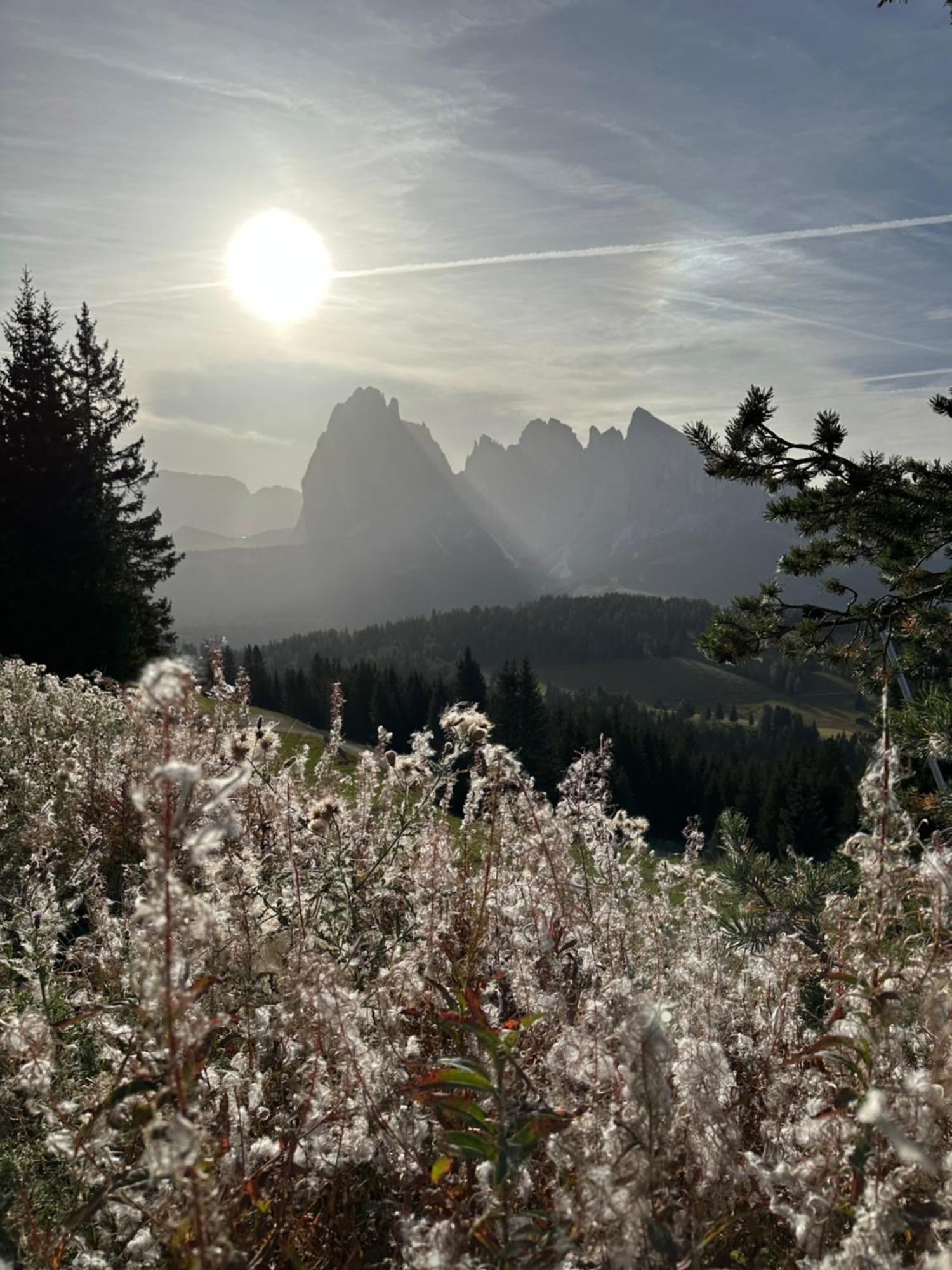 Garni Villa Erna Selva di Val Gardena Kültér fotó