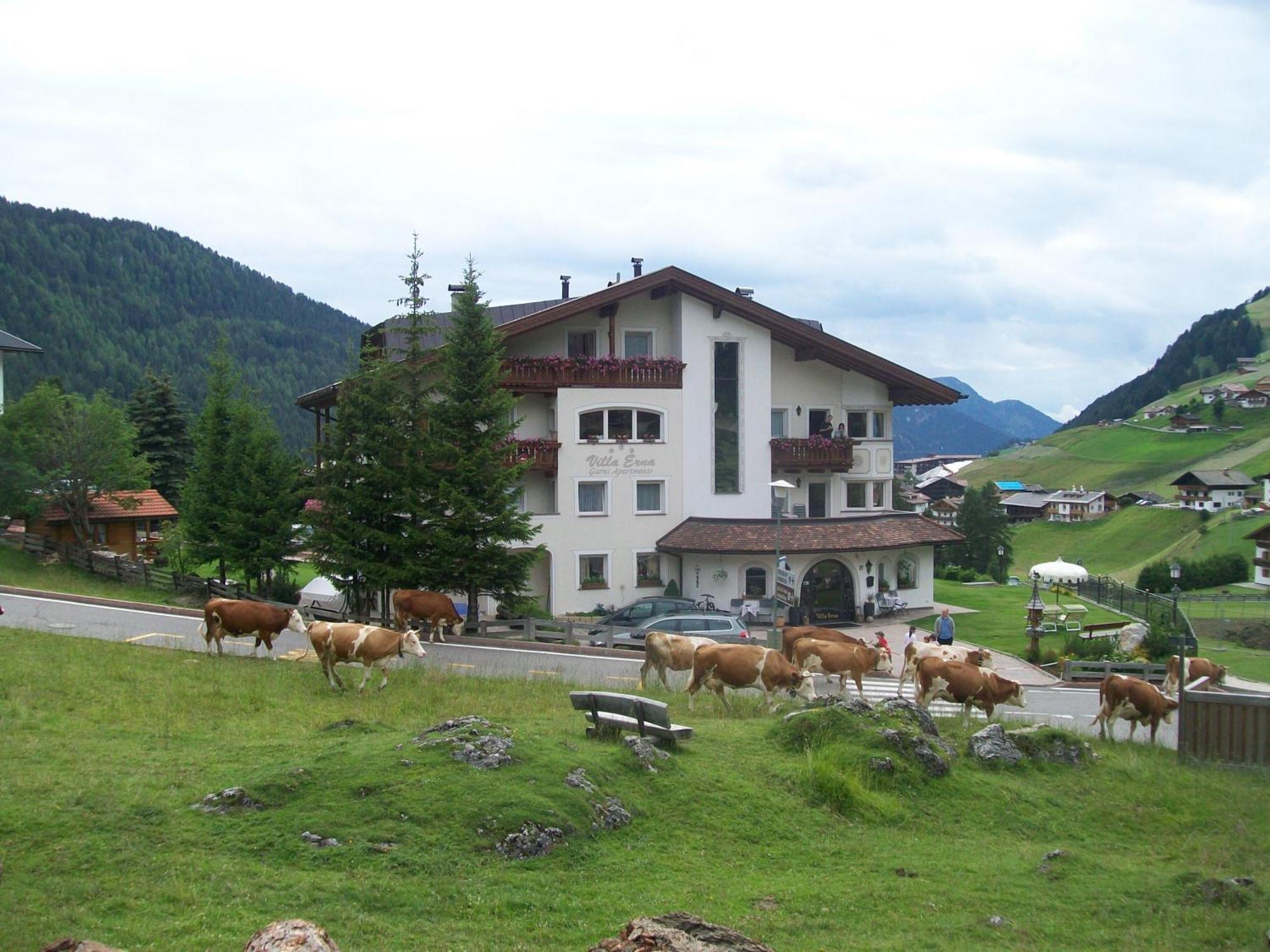Garni Villa Erna Selva di Val Gardena Kültér fotó